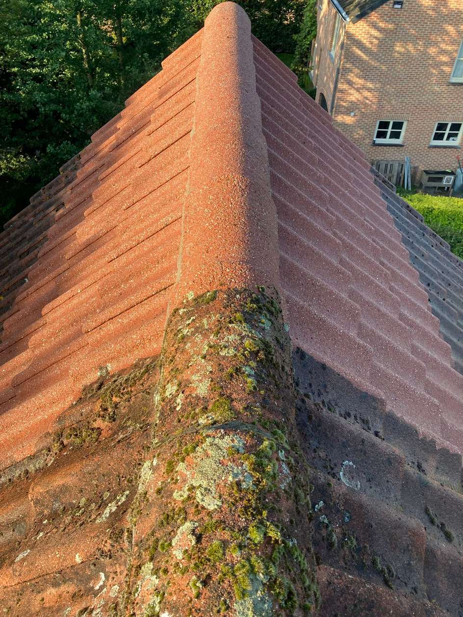 Dak met mos · Brugge